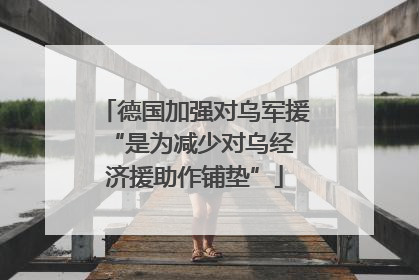 德国加强对乌军援 “是为减少对乌经济援助作铺垫”