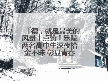 德，就是最美的风景丨点赞！乐陵两名高中生深夜拾金不昧 彰显青春正能量