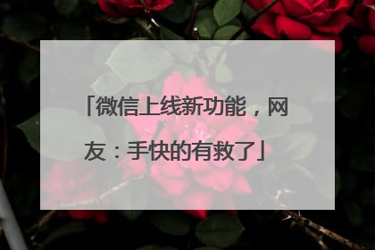 微信上线新功能，网友：手快的有救了