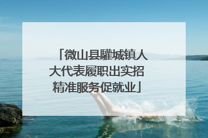 微山县驩城镇人大代表履职出实招精准服务促就业