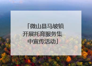 微山县马坡镇开展托育服务集中宣传活动