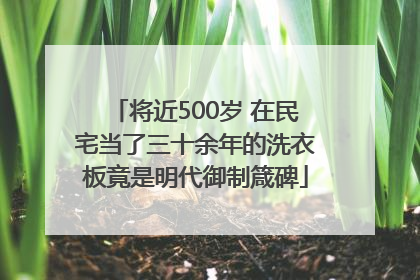 将近500岁 在民宅当了三十余年的洗衣板竟是明代御制箴碑