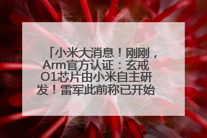 小米大消息！刚刚，Arm官方认证：玄戒O1芯片由小米自主研发！雷军此前称已开始大规模量产