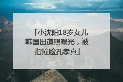 小沈阳18岁女儿韩国出道照曝光，被指撞脸孔孝真