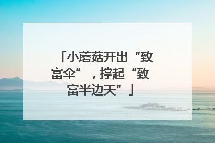 小蘑菇开出“致富伞”，撑起“致富半边天”