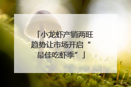 小龙虾产销两旺趋势让市场开启“最佳吃虾季”