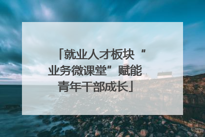 就业人才板块“业务微课堂”赋能青年干部成长
