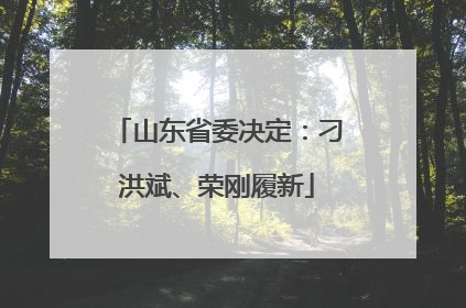 山东省委决定：刁洪斌、荣刚履新