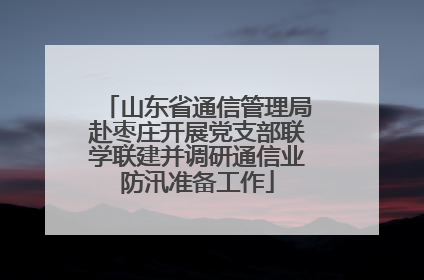 山东省通信管理局赴枣庄开展党支部联学联建并调研通信业防汛准备工作