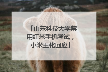 山东科技大学禁用红米手机考试，小米王化回应