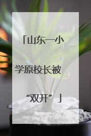 山东一小学原校长被“双开”