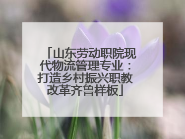 山东劳动职院现代物流管理专业：打造乡村振兴职教改革齐鲁样板