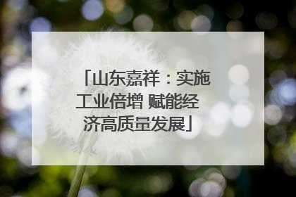 山东嘉祥：实施工业倍增 赋能经济高质量发展