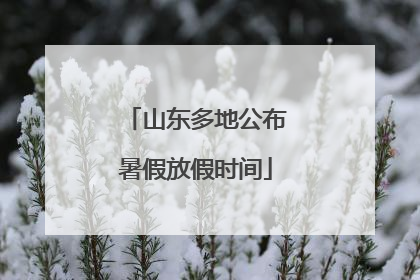 山东多地公布暑假放假时间