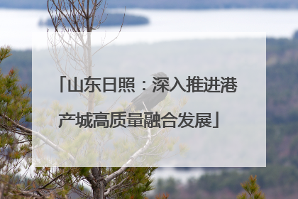 山东日照：深入推进港产城高质量融合发展