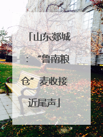 山东郯城：“鲁南粮仓”麦收接近尾声
