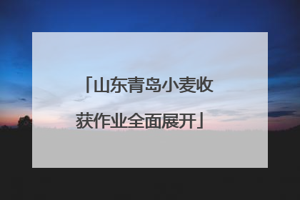 山东青岛小麦收获作业全面展开