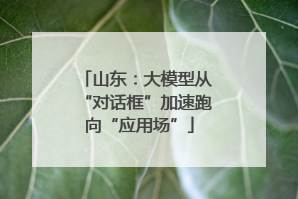 山东：大模型从“对话框”加速跑向“应用场”