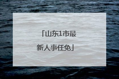 山东1市最新人事任免