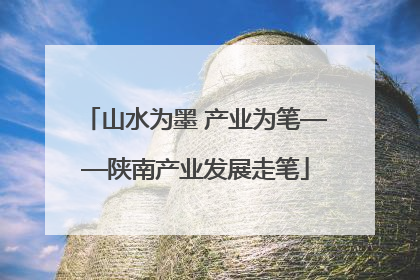 山水为墨 产业为笔——陕南产业发展走笔