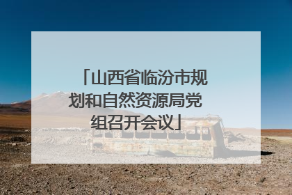 山西省临汾市规划和自然资源局党组召开会议