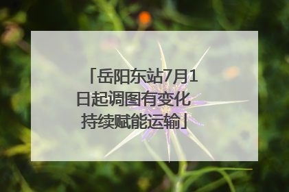 岳阳东站7月1日起调图有变化 持续赋能运输