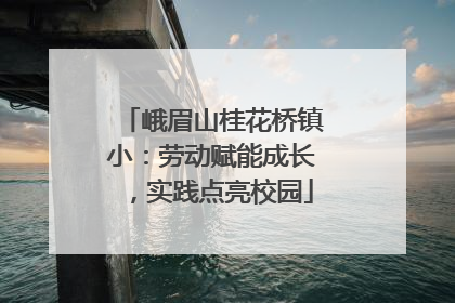 峨眉山桂花桥镇小：劳动赋能成长，实践点亮校园