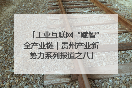 工业互联网“赋智”全产业链｜贵州产业新势力系列报道之八