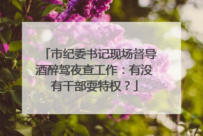 市纪委书记现场督导酒醉驾夜查工作：有没有干部耍特权？