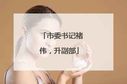 市委书记褚伟，升副部