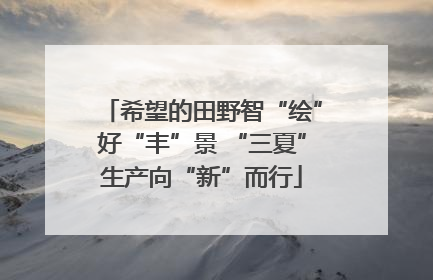 希望的田野智“绘”好“丰”景 “三夏”生产向“新”而行