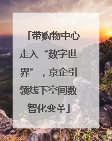 带购物中心走入“数字世界”，京企引领线下空间数智化变革