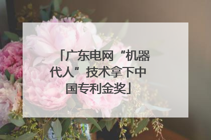 广东电网“机器代人”技术拿下中国专利金奖