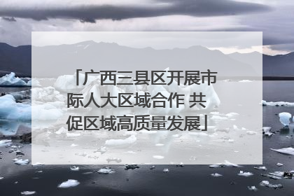 广西三县区开展市际人大区域合作 共促区域高质量发展