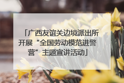 广西友谊关边境派出所开展“全国劳动模范进警营”主题宣讲活动