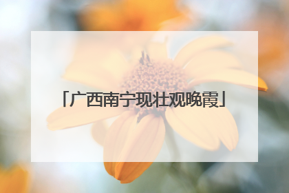 广西南宁现壮观晚霞