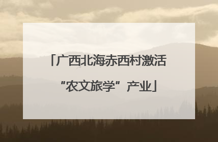 广西北海赤西村激活“农文旅学”产业
