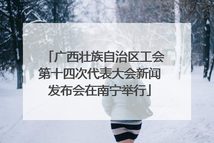 广西壮族自治区工会第十四次代表大会新闻发布会在南宁举行
