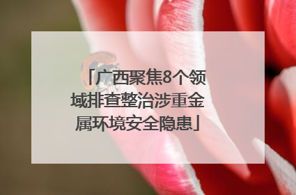 广西聚焦8个领域排查整治涉重金属环境安全隐患