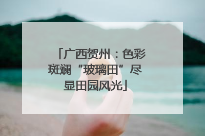 广西贺州：色彩斑斓“玻璃田”尽显田园风光