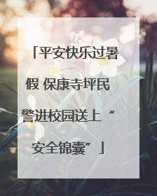 平安快乐过暑假 保康寺坪民警进校园送上“安全锦囊”