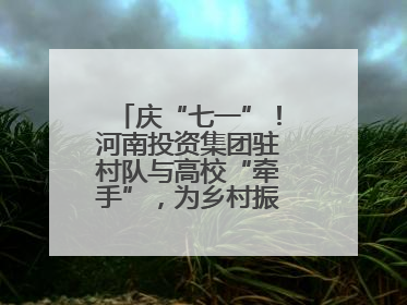 庆“七一”！河南投资集团驻村队与高校“牵手”，为乡村振兴添新活力