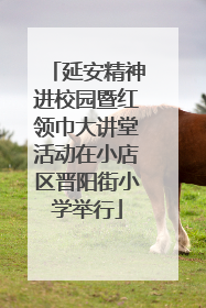 延安精神进校园暨红领巾大讲堂活动在小店区晋阳街小学举行