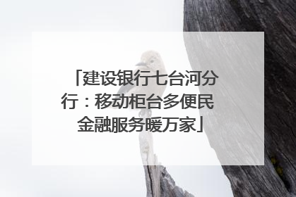 建设银行七台河分行：移动柜台多便民 金融服务暖万家