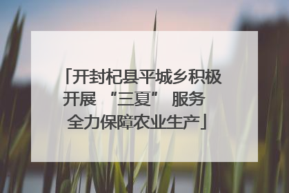 开封杞县平城乡积极开展 “三夏” 服务 全力保障农业生产