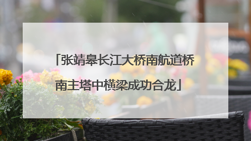 张靖皋长江大桥南航道桥南主塔中横梁成功合龙