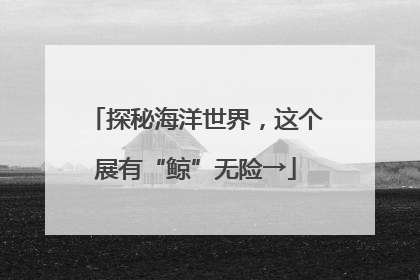 探秘海洋世界，这个展有“鲸”无险→