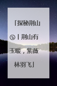 探秘荆山⑤丨荆山有玉暖，紫薇林羽飞
