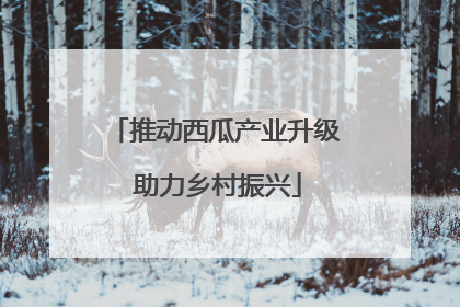 推动西瓜产业升级 助力乡村振兴