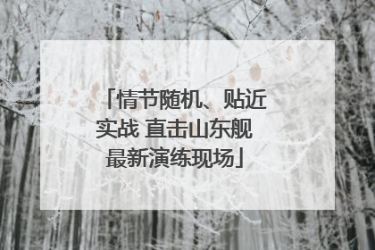 情节随机、贴近实战 直击山东舰最新演练现场